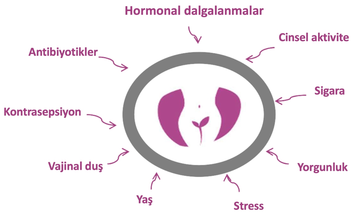 Vajinal Bozukluklar - Candiflorex